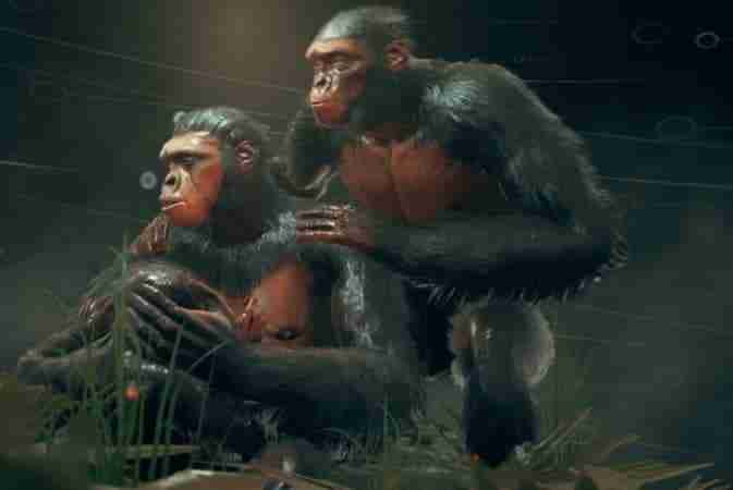 Ancestors The Humankind Odyssey Как добавить обезьян в клан