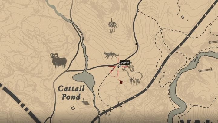 The Ram moves within the area marked on the screen below - Legendary Ram in Red Dead Redemption 2 - Legendary Animals - Red Dead Redemption 2 Guide