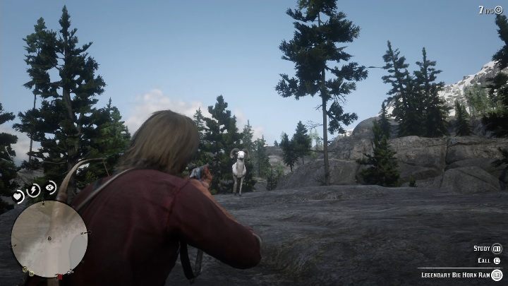 You have to go to the Ram with a long-distance weapon - Legendary Ram in Red Dead Redemption 2 - Legendary Animals - Red Dead Redemption 2 Guide
