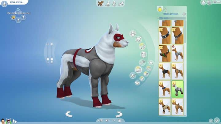 Here, you can pick clothes for your pet - Pet edition and creation in Sims 4: Cats and Dogs - Sims 4: Cats & Dogs Guide - The Sims 4 Game Guide