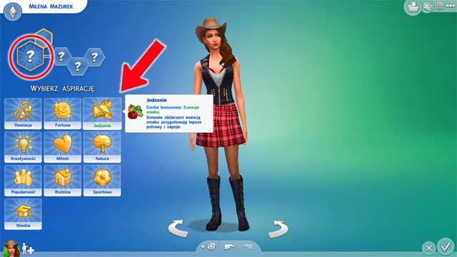 After you have picked the basic traits of the Sim, you need to pick the aspiractions of their life - Aspirations | Creating a Sim - Creating a Sim - The Sims 4 Game Guide
