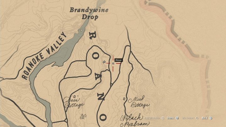These bones are located in the eastern part of Roanoke Valley - Dinosaur Bones in Red Dead Redemption 2 - Dinosaur bones and Rock Carvings - Red Dead Redemption 2 Guide