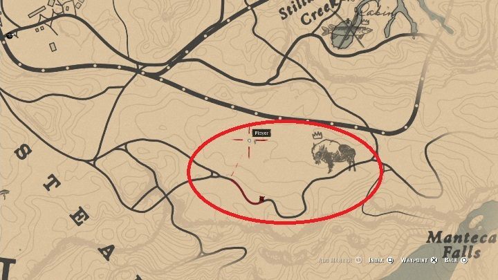 The Bison can be found in the area 