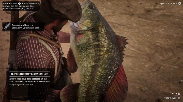 This legendary fish is huge - you cant 