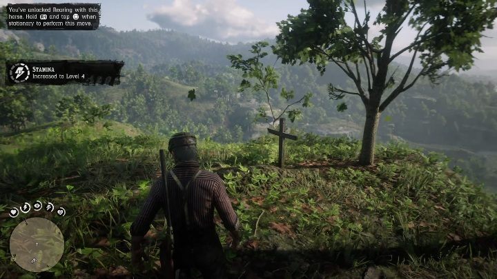 The grave of Susan can be found near the cliff, right beside the tree - Graves in Red Dead Redemption 2 - Secrets and collectibles - Red Dead Redemption 2 Guide