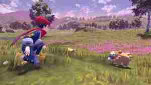 Pokemon Legends: Руководство по шарам