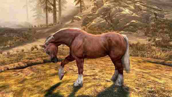 Skyrim: Руководство по локациям диких лошадей